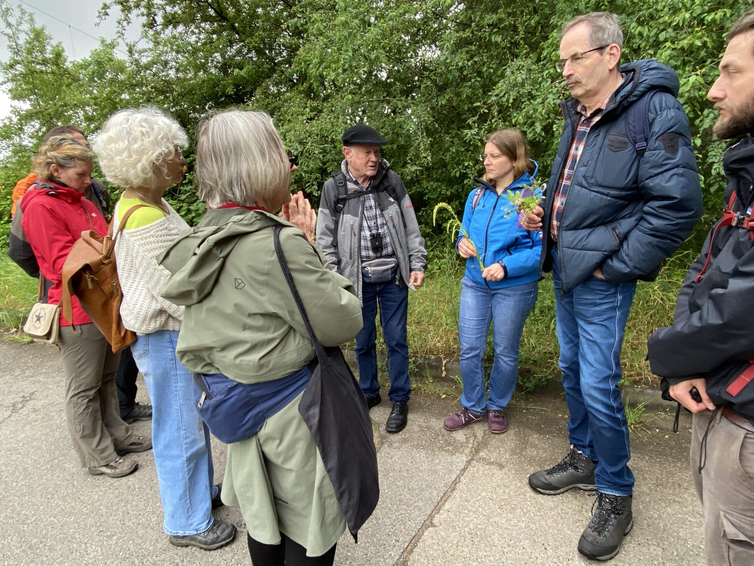 Naturkundlicher Frühlingsspaziergang zum Naturschutzgebiet Hirschacker, 05.05.2024