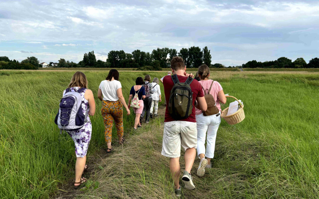 Wildkräuter im Sommer entdecken – Kräuterspaziergang in den Riedweisen Rheinau