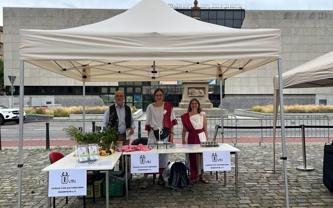 Sommerfest des Reiss-Engelhorn-Museums
