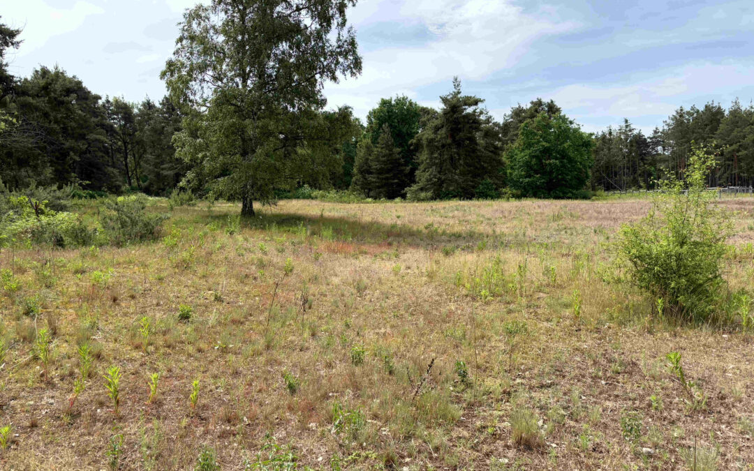 Naturkundlicher Spaziergang zum Naturschutzgebiet Hirschacker