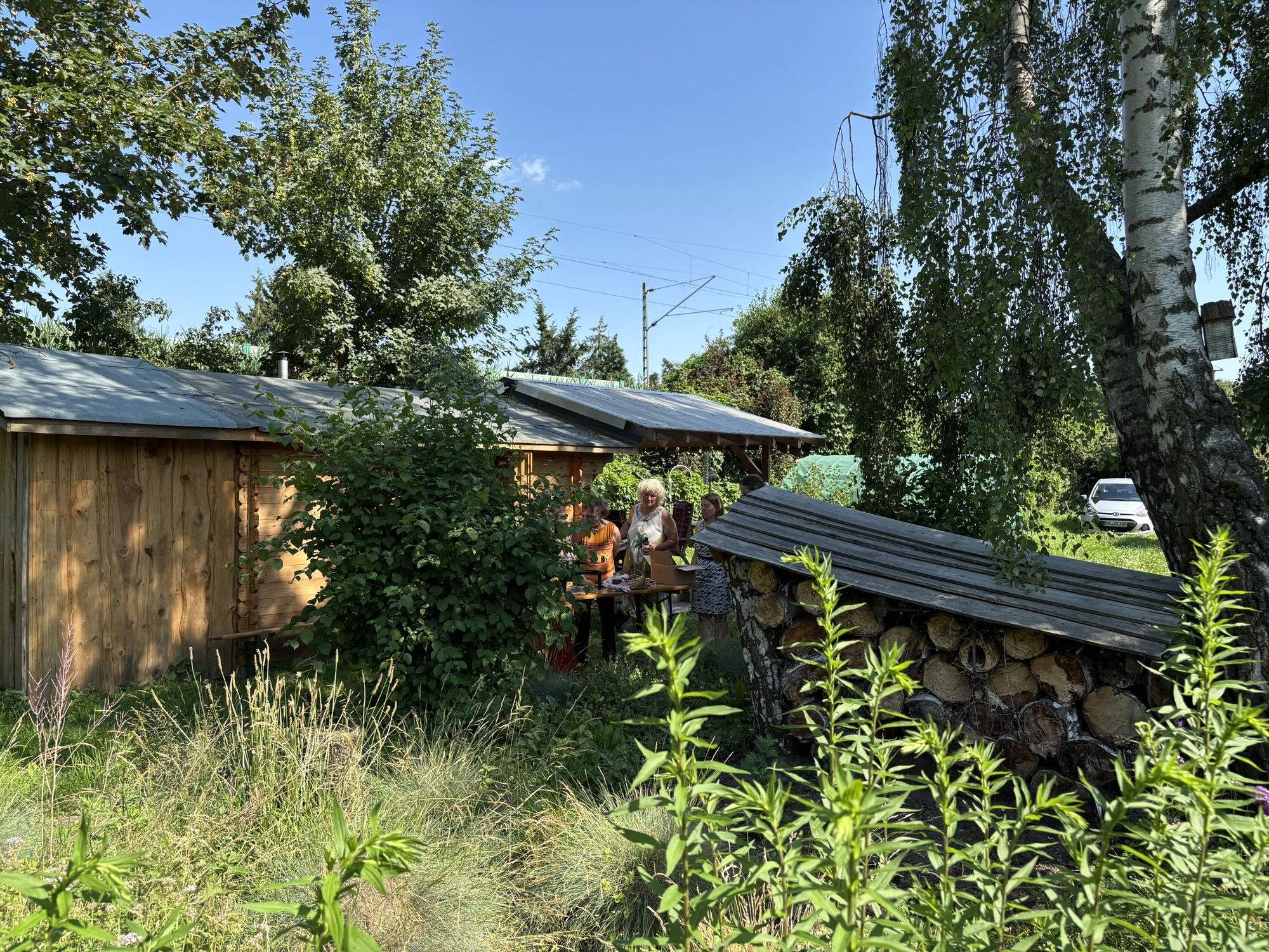 Workshop – Heilkräutersalben selbst gemacht