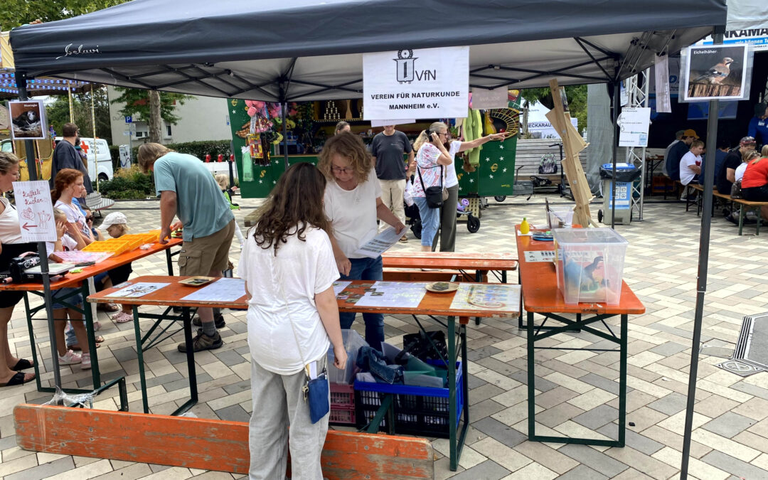 Stadteilfest Mannheim-Rheinau am 19.07.2026