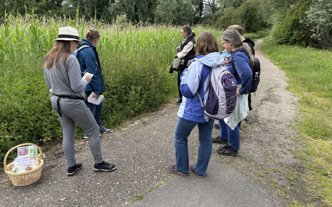 Entdecken, Staunen, Genießen – Wildkräuterspaziergang durch die Riedwiesen Rheinau